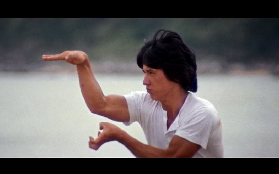 成龙资料和简历（功夫巨星——成龙）