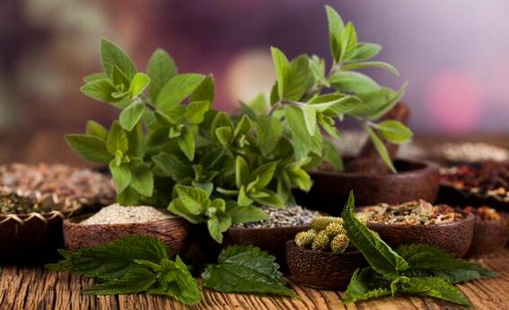 《本草经集注》是谁写的?(为中国主流本草学著作雏型奠定基调的《本草经集注》)