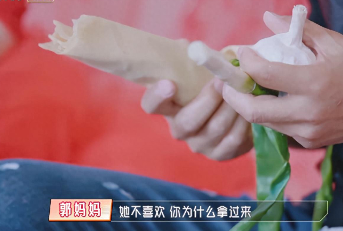 程莉莎个人资料：结婚16年只生孩子不做饭，丈夫一家人把她宠成宝