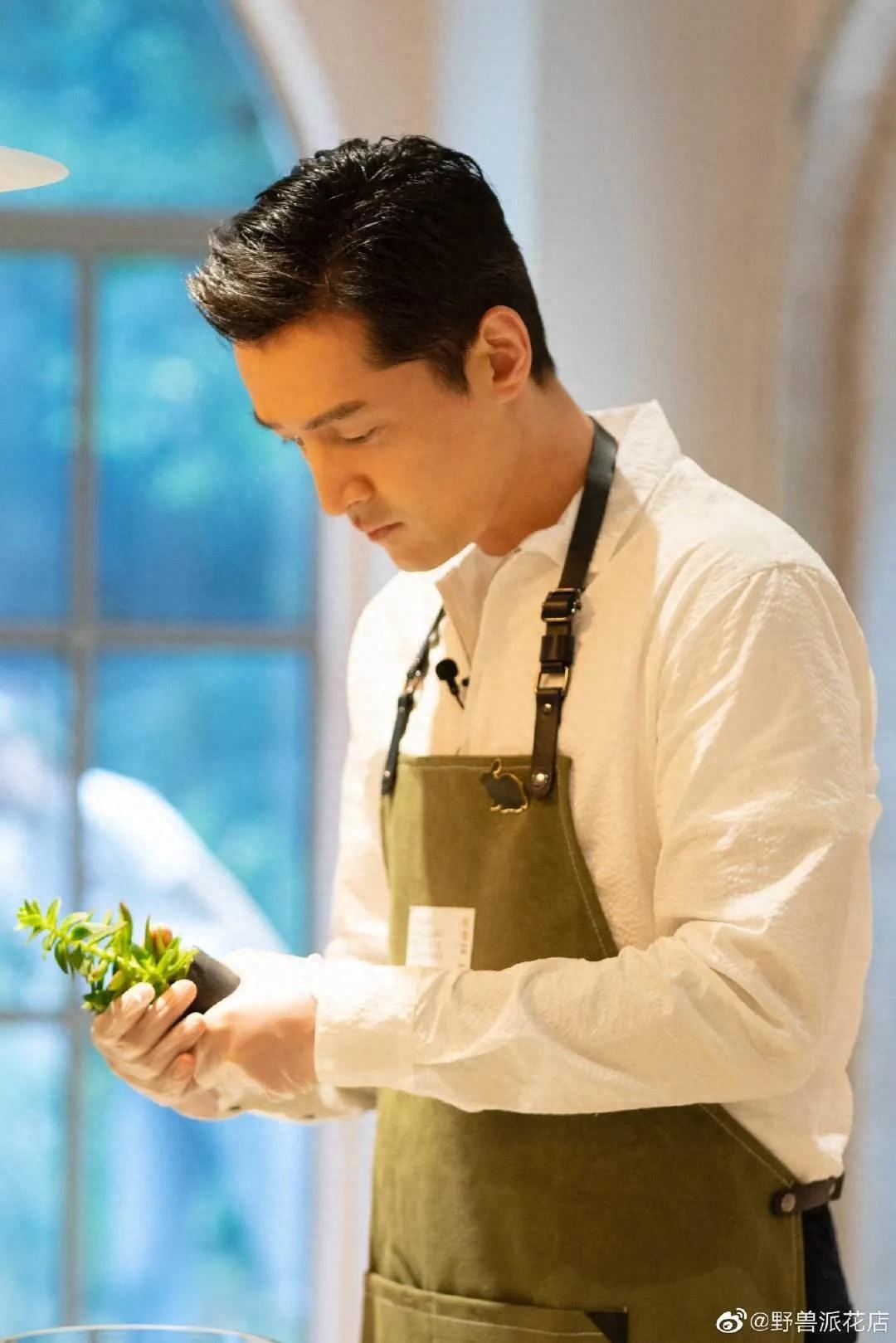 胡歌个人资料简介