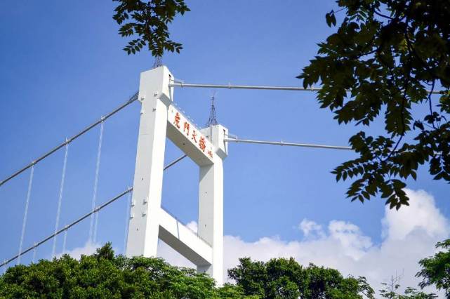 虎门大桥是谁建的(虎门大桥原来是他建的,也是港珠澳大桥的首倡者,如今身家上百亿)