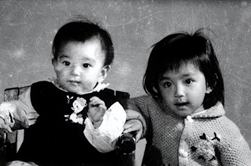 李冰冰 个人资料:50岁未婚无子,从农村女到大明星,她付出了多少“代价”