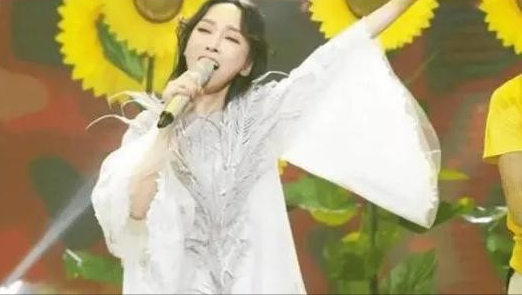 萨顶顶是谁(36岁的萨顶顶,走到今天能怪谁呢?跌落的口碑到底是回不去了)