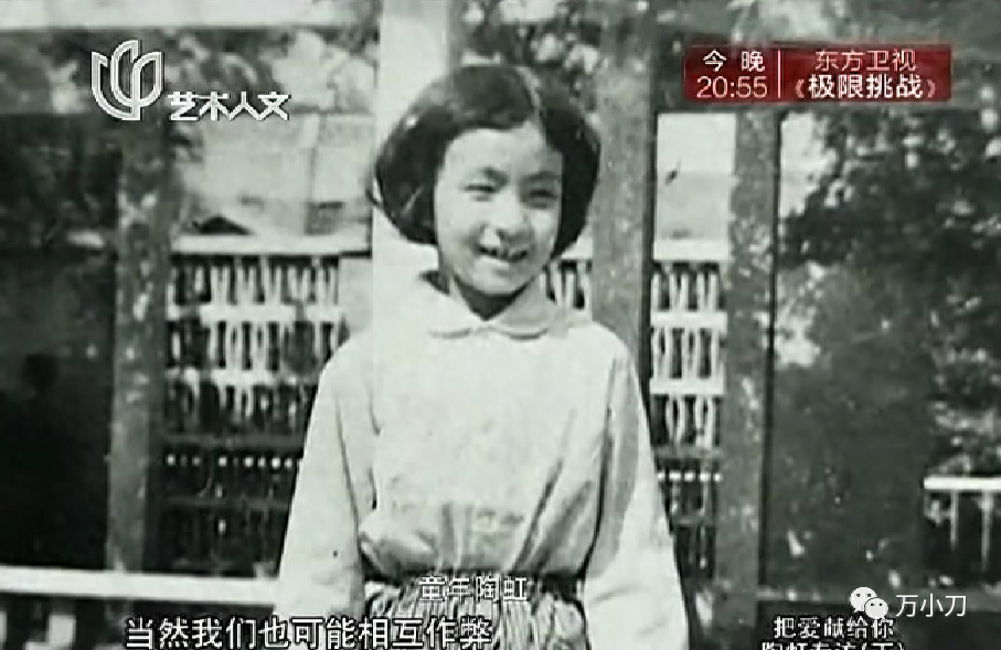 小陶虹个人资料娱圈上位史