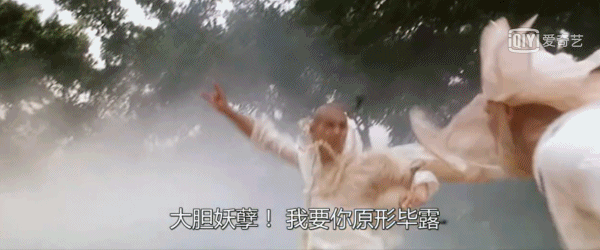 赵文卓个人资料，奋斗史