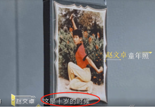 赵文卓个人资料，奋斗史